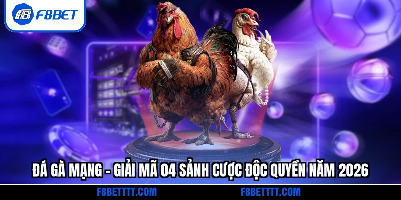 Đá gà mạng